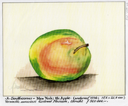 202979 Afbeelding van een southcorner appel, geschilderd door Arne Zuidhoek en voor fl. 500.000.- aangeboden aan het ...